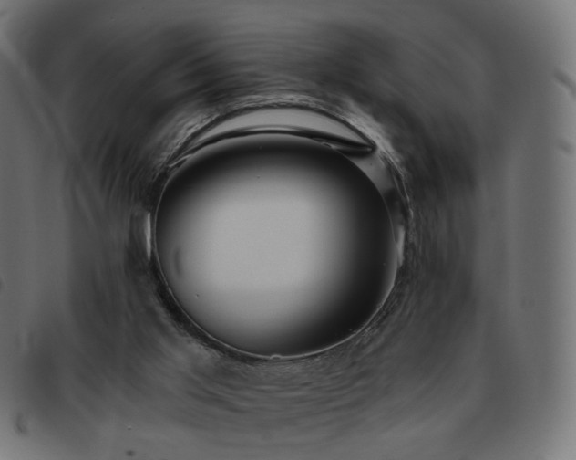 X0000093480013200710121455