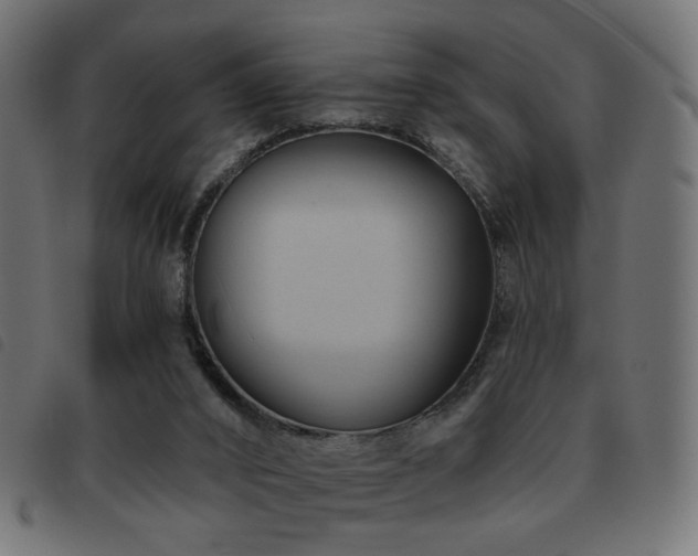 X0000093480016200710121455