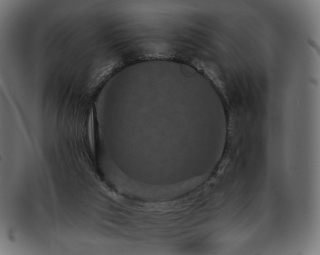 X0000093480017200710121455