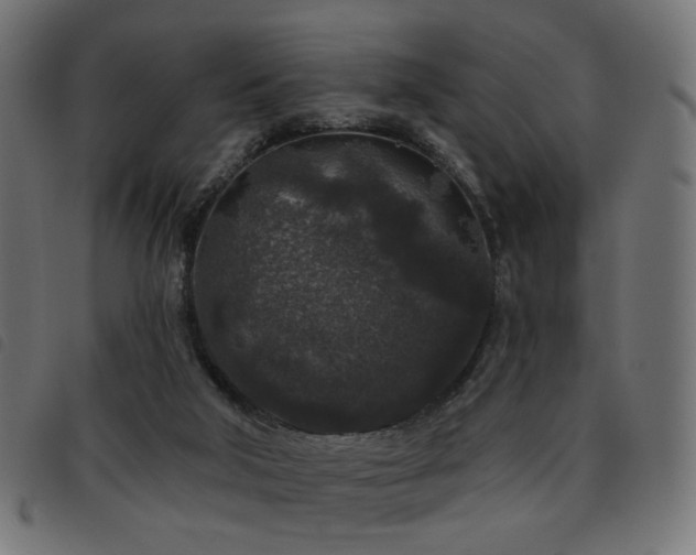 X0000093480018200710121455