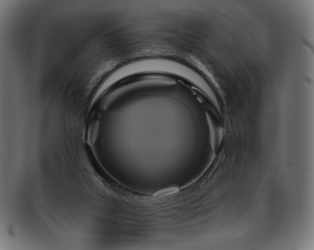 X0000093480019200710121455