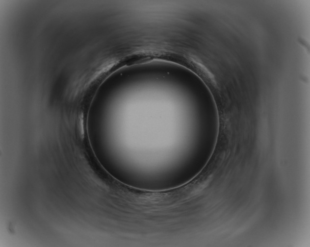 X0000093480020200710121455