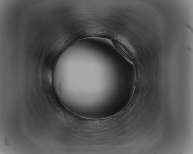 X0000093480021200710121455