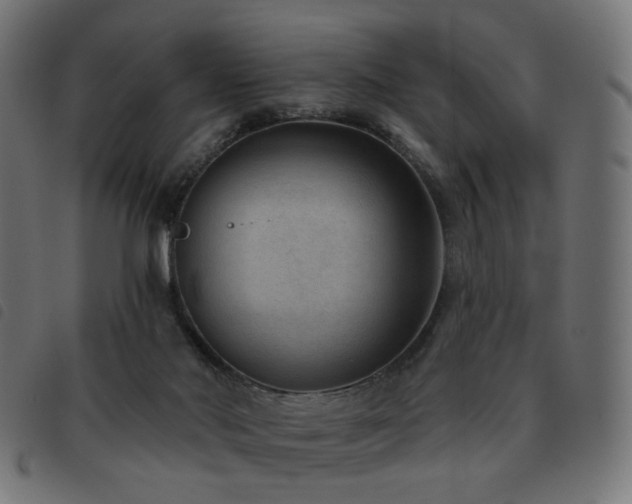 X0000093480022200710121455
