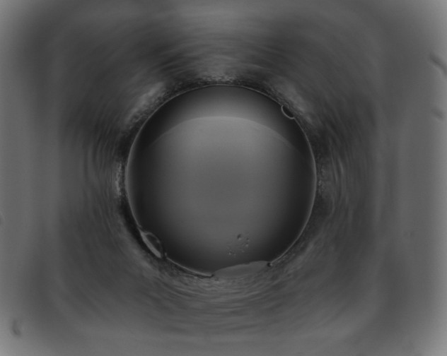 X0000093480023200710121455