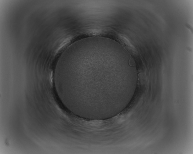 X0000093480024200710121455