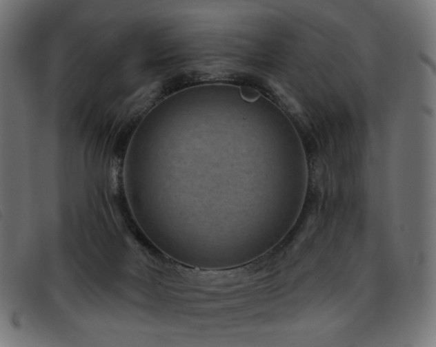 X0000093480026200710121455