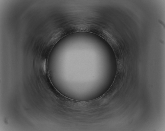 X0000093480028200710121455