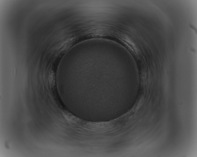 X0000093480029200710121455