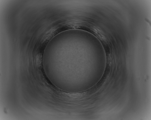 X0000093480030200710121455