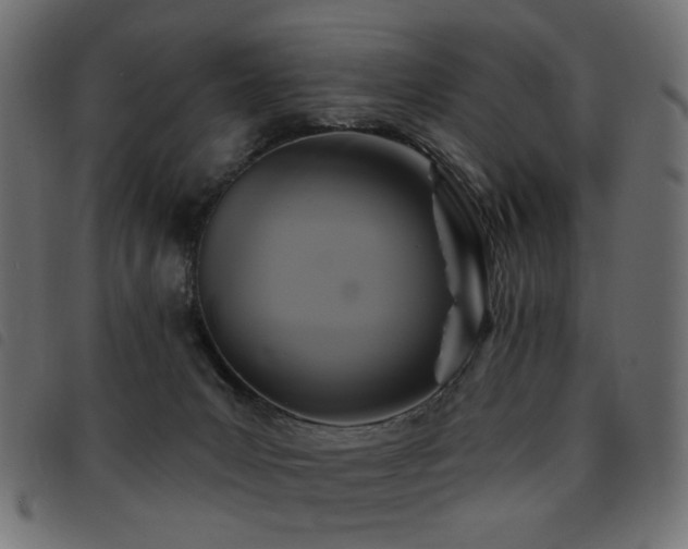 X0000093480031200710121455