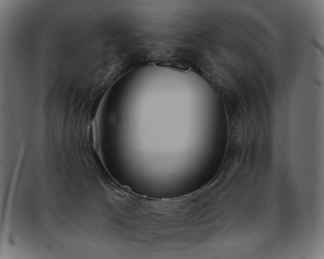 X0000093480033200710121455