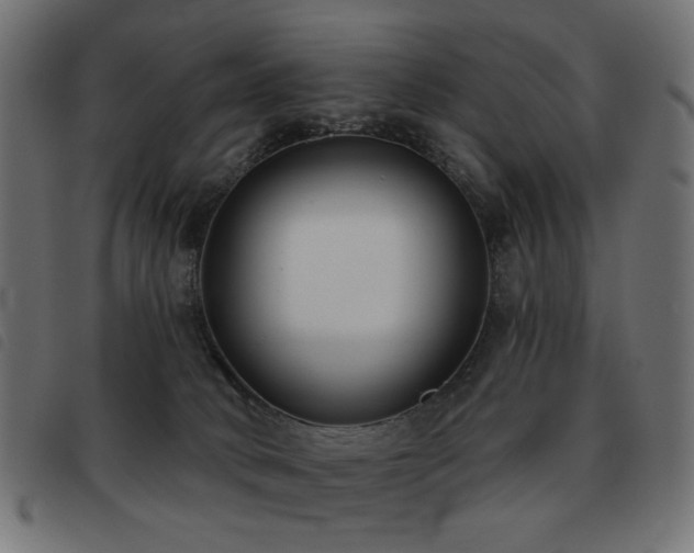 X0000093480034200710121455