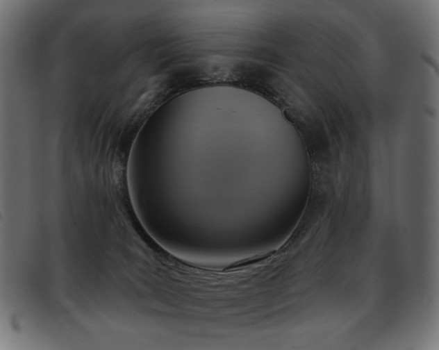 X0000093480035200710121455