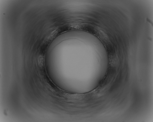 X0000093480036200710121455