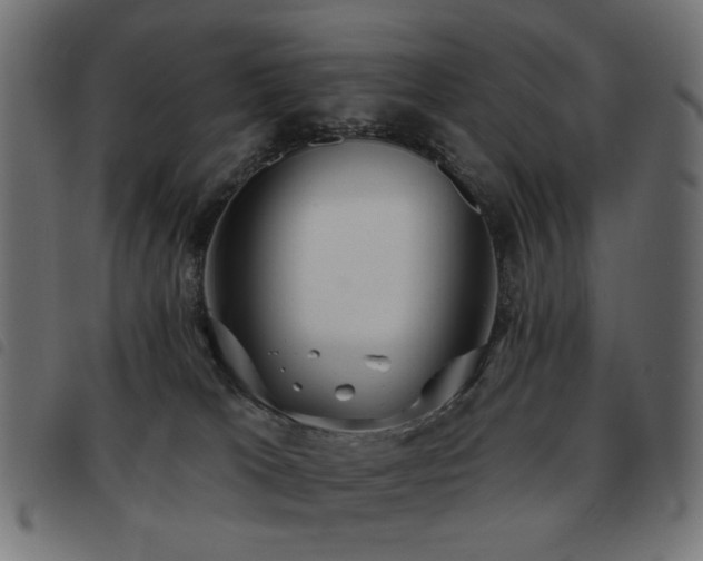 X0000093480037200710121455