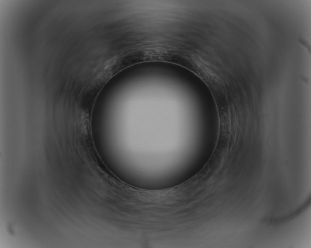 X0000093480038200710121455