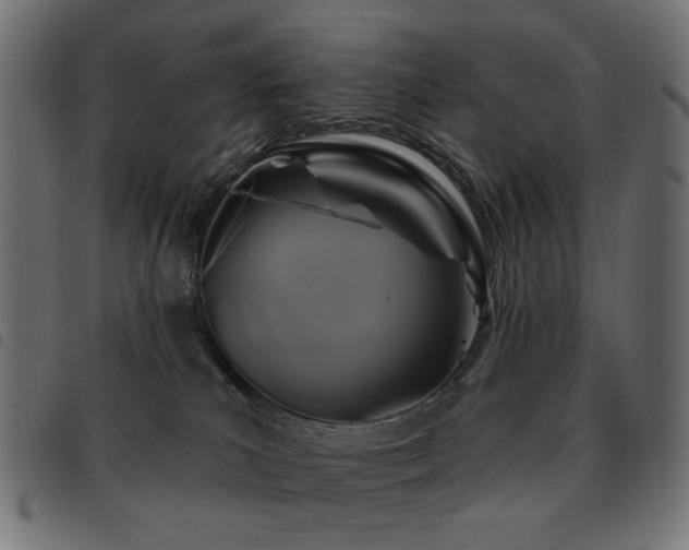 X0000093480039200710121455