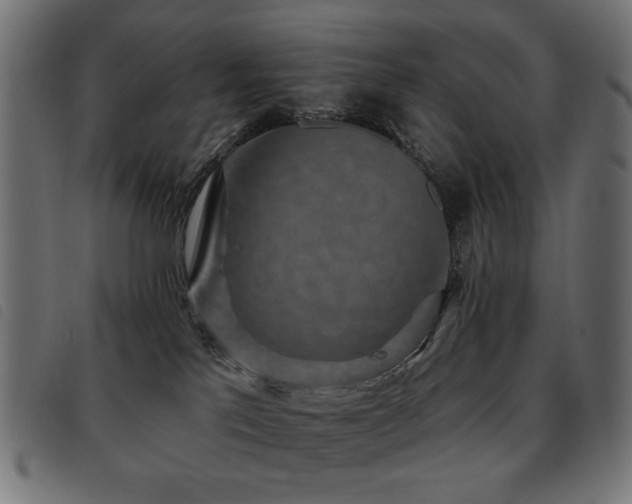 X0000093480041200710121455