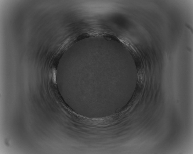 X0000093480046200710121455