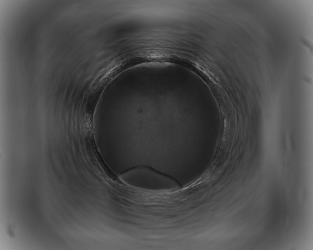 X0000093480048200710121455