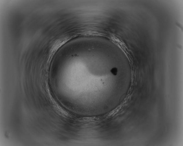 X0000093480049200710121454