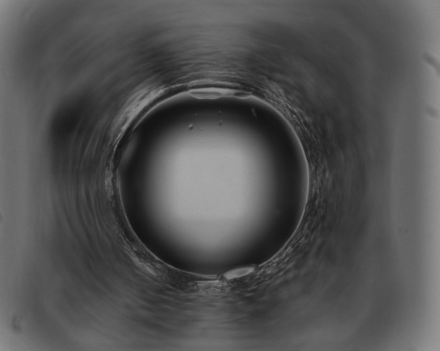 X0000093480050200710121454