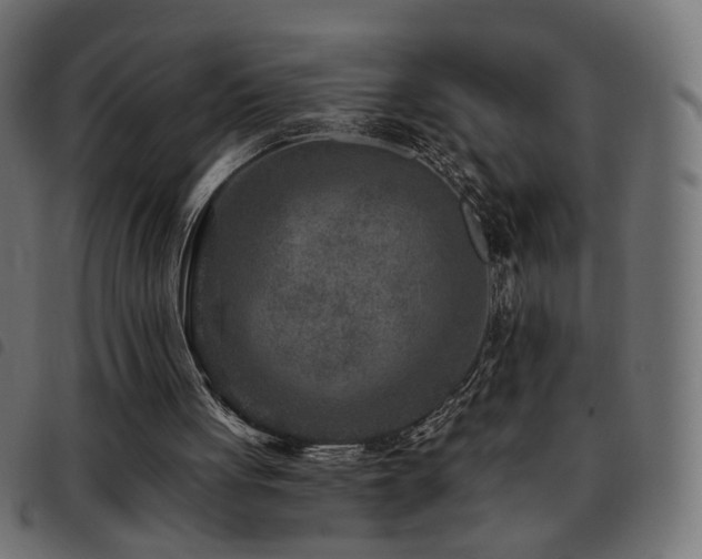 X0000093480051200710121454