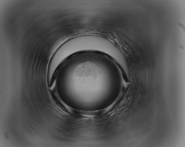 X0000093480052200710121454