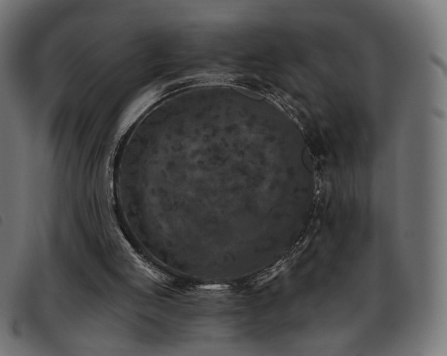 X0000093480053200710121454