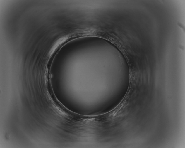 X0000093480054200710121454