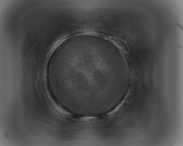 X0000093480055200710121454