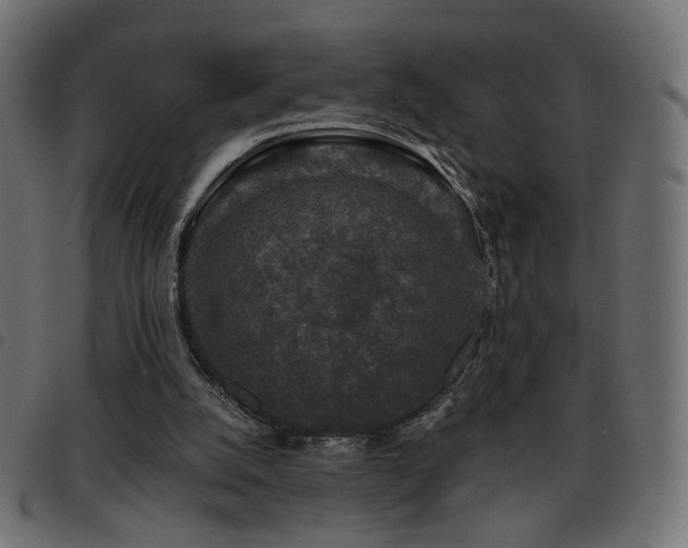X0000093480056200710121454
