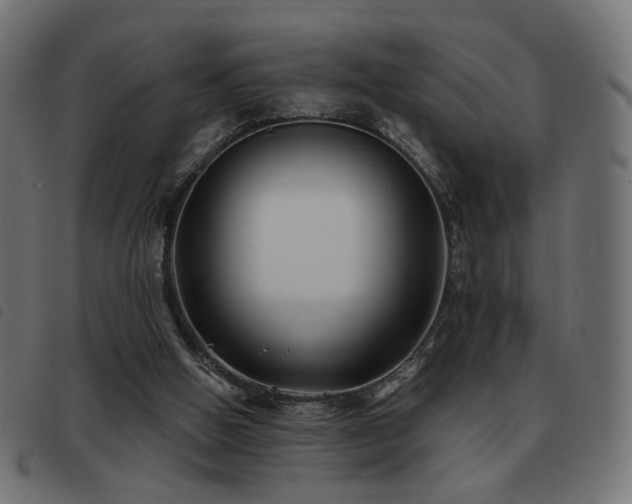 X0000093480058200710121454