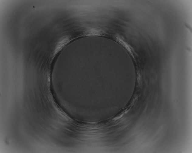 X0000093480059200710121454