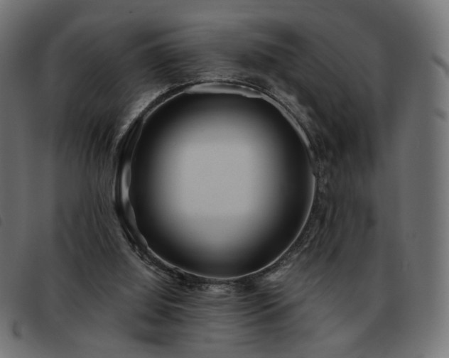 X0000093480060200710121454