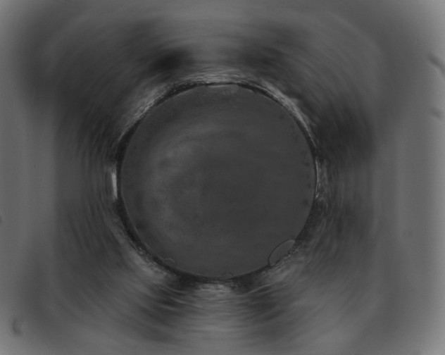 X0000093480061200710121454