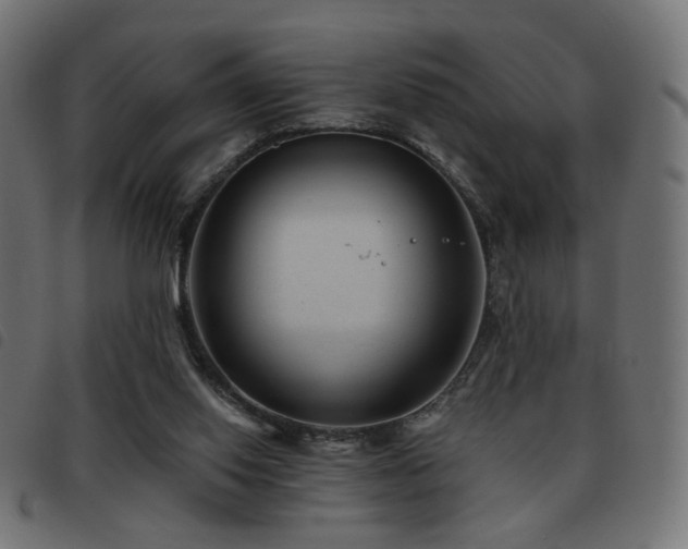 X0000093480062200710121454