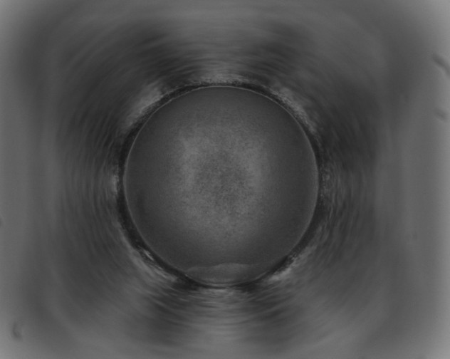 X0000093480063200710121454