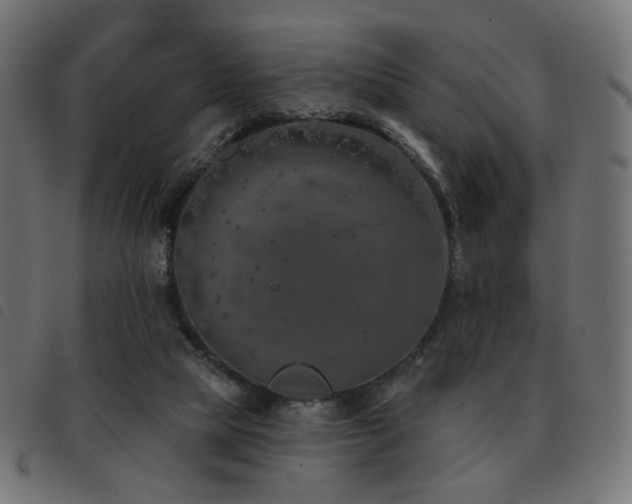 X0000093480065200710121454