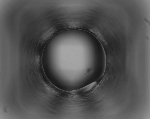 X0000093480066200710121454
