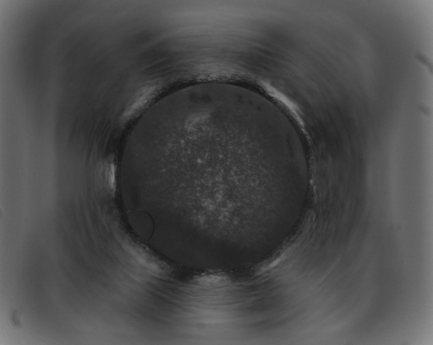 X0000093480067200710121454
