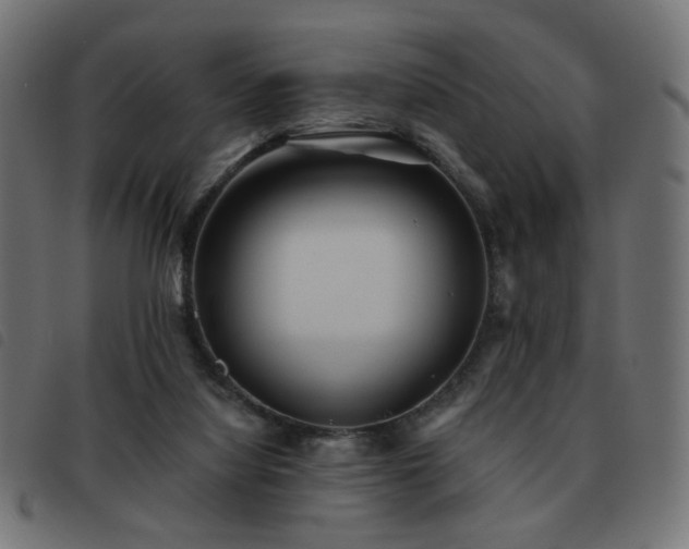 X0000093480068200710121454