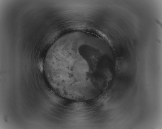 X0000093480069200710121454