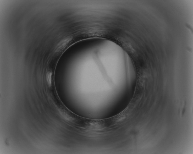 X0000093480070200710121454