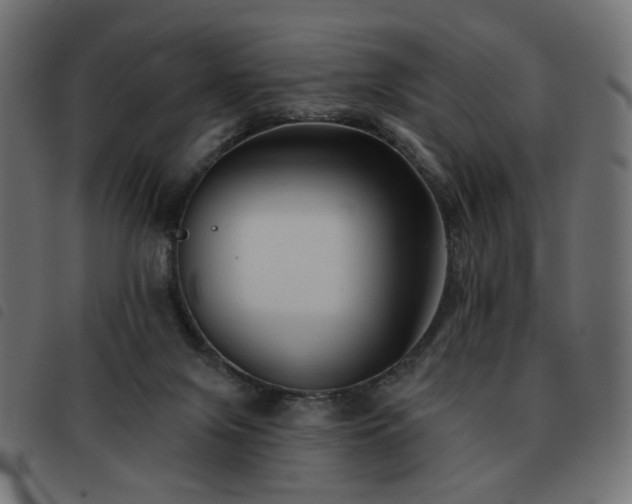 X0000093480071200710121454