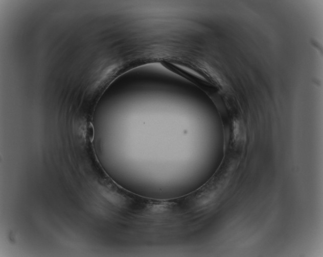 X0000093480072200710121454
