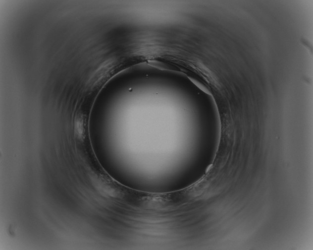 X0000093480074200710121454