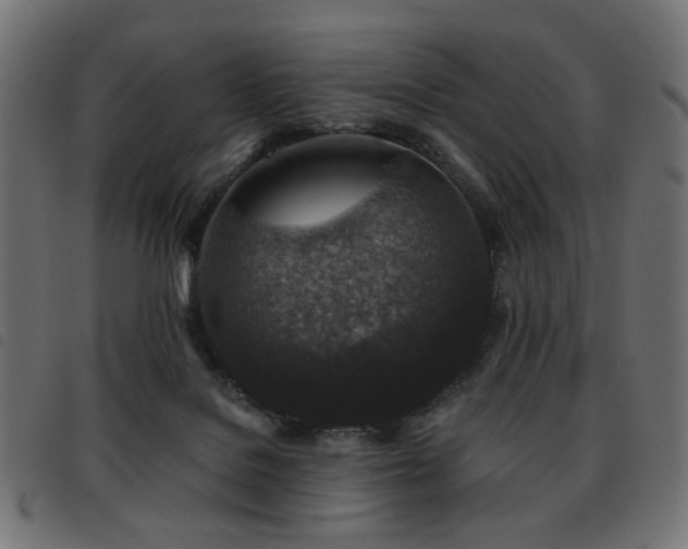 X0000093480076200710121454