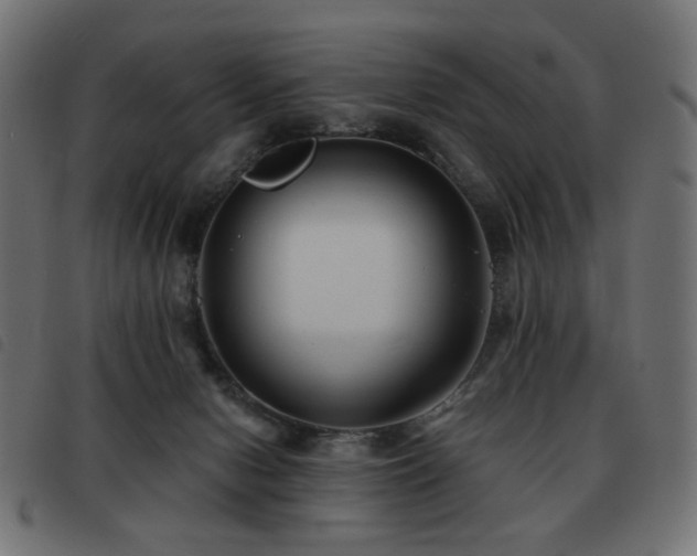 X0000093480078200710121454